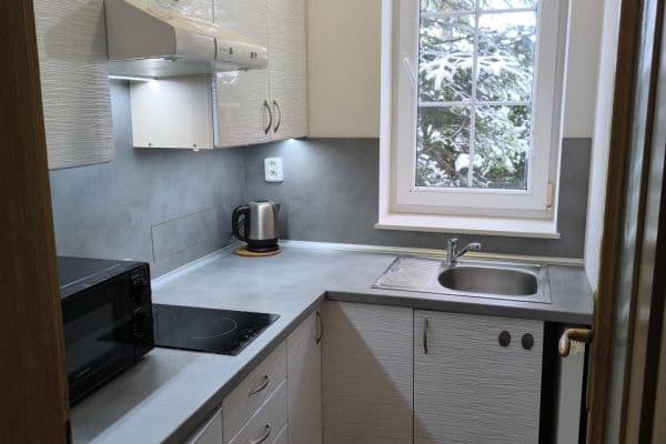 Prenájom bytu 1-izbový 38 m², Sadová, České Budějovice Prenájom bytu 1-izbový 38 m², Sadová, České Budějovice