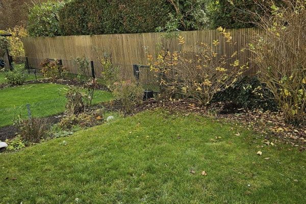 Predaj domu Predaj domu