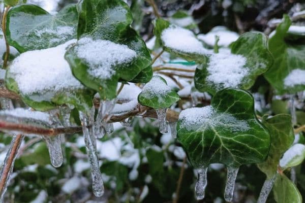 Predaj pozemku 1.020 m², Berlin Predaj pozemku 1.020 m², Berlin