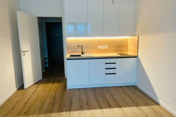 Prenájom bytu 1-izbový 25 m², Ke křížku, Kladno Prenájom bytu 1-izbový 25 m², Ke křížku, Kladno