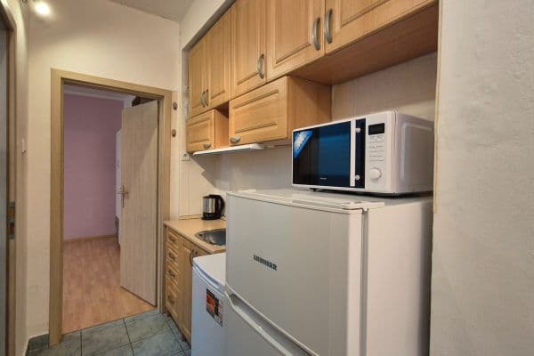 Prenájom bytu 1-izbový 27 m², Renneská třída, Brno Prenájom bytu 1-izbový 27 m², Renneská třída, Brno