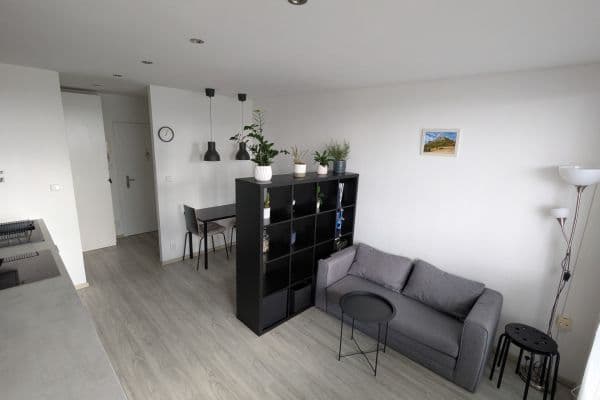 Prenájom bytu 1-izbový 37 m², Tajovského, Praha Prenájom bytu 1-izbový 37 m², Tajovského, Praha