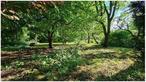 Predaj pozemku 1.281 m², Falkensee Predaj pozemku 1.281 m², Falkensee