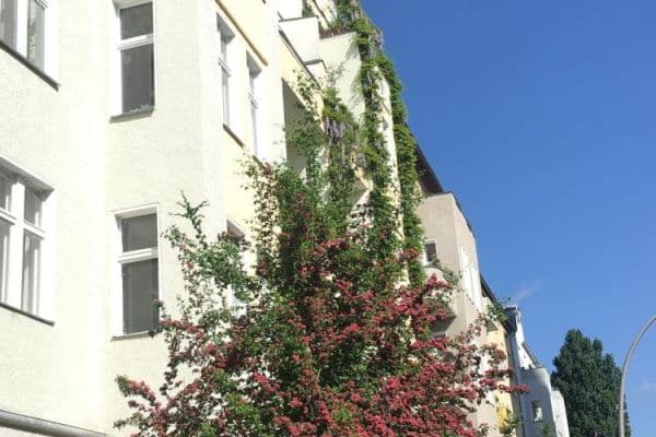 Predaj bytu 6-izbový 202 m², Berlin, Berlín Predaj bytu 6-izbový 202 m², Berlin, Berlín