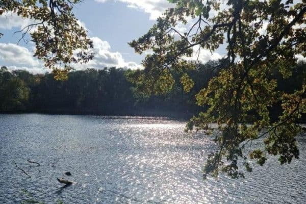 Predaj bytu 5-izbový 110 m², Berlin, Berlín Predaj bytu 5-izbový 110 m², Berlin, Berlín