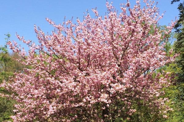 Prenájom bytu 1-izbový 24 m², Hamburg, Hamburg Prenájom bytu 1-izbový 24 m², Hamburg, Hamburg