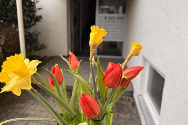 Prenájom bytu 3-izbový 80 m², Stuttgart, Bádensko-Wurttembersko Prenájom bytu 3-izbový 80 m², Stuttgart, Bádensko-Wurttembersko