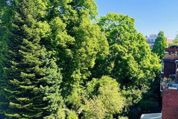 Prenájom bytu 4-izbový 110 m², Fuldastraße 21, Duisburg Prenájom bytu 4-izbový 110 m², Fuldastraße 21, Duisburg