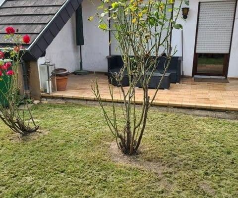 Prenájom bytu 3-izbový 100 m², Breisach Prenájom bytu 3-izbový 100 m², Breisach