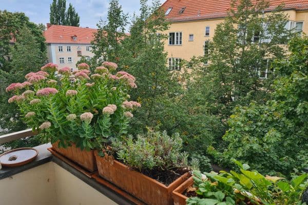 Predaj bytu 3-izbový 68 m², Vineta Str.52, Berlin-Pankow, Berlín Predaj bytu 3-izbový 68 m², Vineta Str.52, Berlin-Pankow, Berlín