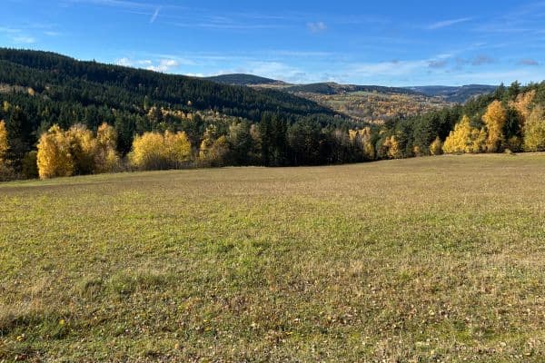 Predaj pozemku Predaj pozemku