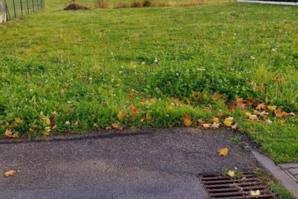 Predaj pozemku 812 m², Mladá Boleslav Predaj pozemku 812 m², Mladá Boleslav