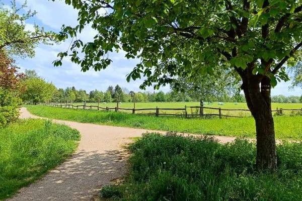 Predaj domu 125 m², pozemek 400 m², Berlin Predaj domu 125 m², pozemek 400 m², Berlin