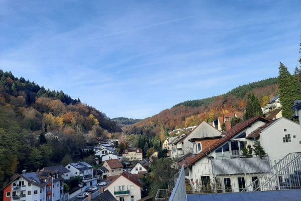 Prenájom bytu 4-izbový 117 m², Heidelberg Prenájom bytu 4-izbový 117 m², Heidelberg