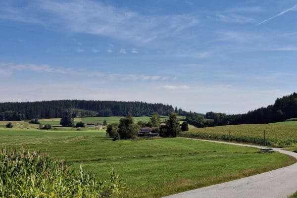 Predaj domu 144 m², pozemek 8.028 m², Regen Predaj domu 144 m², pozemek 8.028 m², Regen