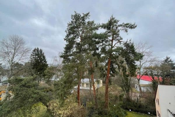 Predaj bytu 4-izbový 96 m², Erlangen Predaj bytu 4-izbový 96 m², Erlangen