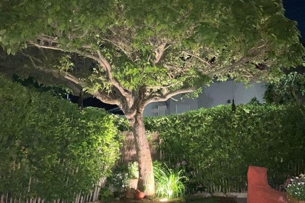 Predaj domu 168 m², pozemek 458 m², Udenheim Predaj domu 168 m², pozemek 458 m², Udenheim