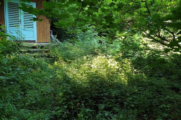 Predaj pozemku 1.200 m², Wien Predaj pozemku 1.200 m², Wien