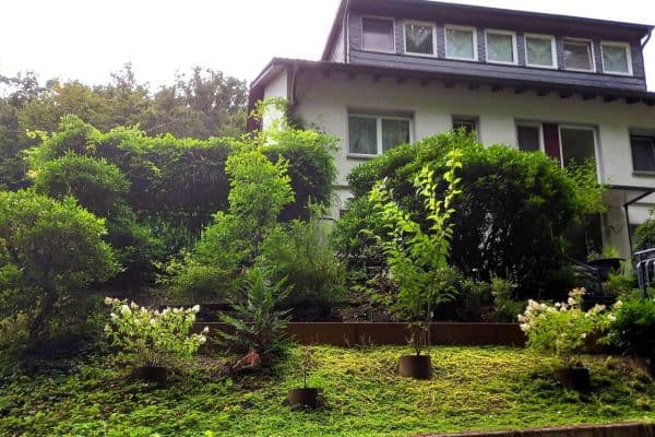 Predaj domu Predaj domu