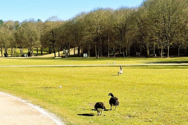 Predaj bytu 3-izbový 80 m², Westendstrasse 266a, München, Bavorsko Predaj bytu 3-izbový 80 m², Westendstrasse 266a, München, Bavorsko