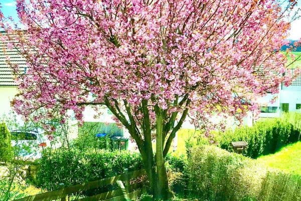 Predaj domu 250 m², pozemek 313 m², Göppingen Predaj domu 250 m², pozemek 313 m², Göppingen