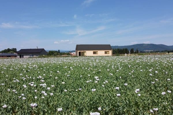 Predaj domu Predaj domu