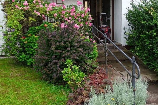 Predaj domu Predaj domu