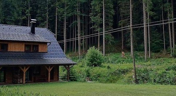 Prenájom rekreačného objektu, Nový Hrozenkov, Zlínský kraj Prenájom rekreačného objektu, Nový Hrozenkov, Zlínský kraj