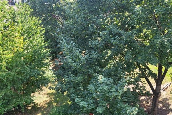 Prenájom bytu 3-izbový 68 m², Neustadtstraße 3, Leverkusen Prenájom bytu 3-izbový 68 m², Neustadtstraße 3, Leverkusen