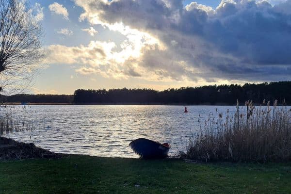 Predaj domu Predaj domu