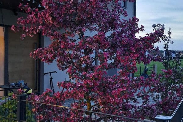 Predaj domu 178 m², pozemek 680 m², Langensendelbach Predaj domu 178 m², pozemek 680 m², Langensendelbach