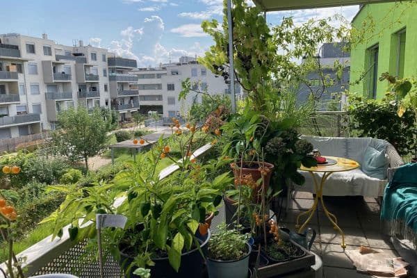 Predaj bytu 3-izbový 78 m², Axel-Corti-Gasse 8, Wien, Viedeň Predaj bytu 3-izbový 78 m², Axel-Corti-Gasse 8, Wien, Viedeň