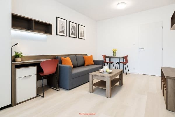 Prenájom bytu 2-izbový 55 m², Magisterská, Plzeň, Plzeňský kraj Prenájom bytu 2-izbový 55 m², Magisterská, Plzeň, Plzeňský kraj