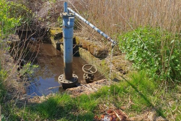 Predaj pozemku Predaj pozemku