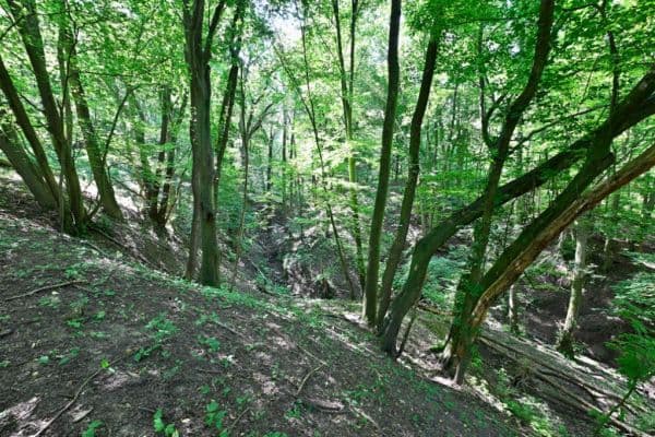 Predaj pozemku 3.400 m², Hřbitovní, Ústí nad Labem Predaj pozemku 3.400 m², Hřbitovní, Ústí nad Labem