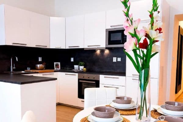 Prenájom bytu 2-izbový 55 m², Merhautova, Brno Prenájom bytu 2-izbový 55 m², Merhautova, Brno