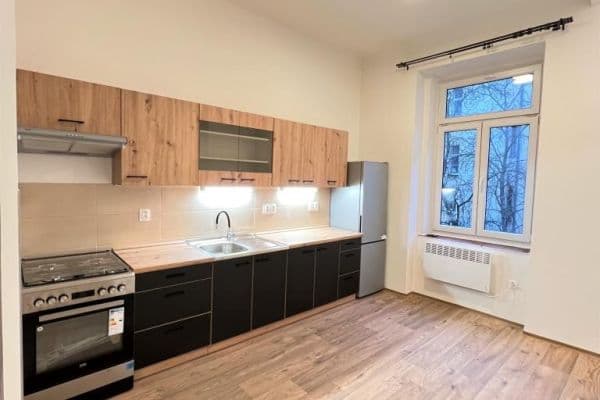 Prenájom bytu 1-izbový 39 m², Mánesova, Praha Prenájom bytu 1-izbový 39 m², Mánesova, Praha