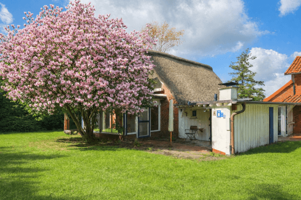 Predaj domu 150 m², pozemek 1.904 m², Drochtersen/Dornbusch Predaj domu 150 m², pozemek 1.904 m², Drochtersen/Dornbusch