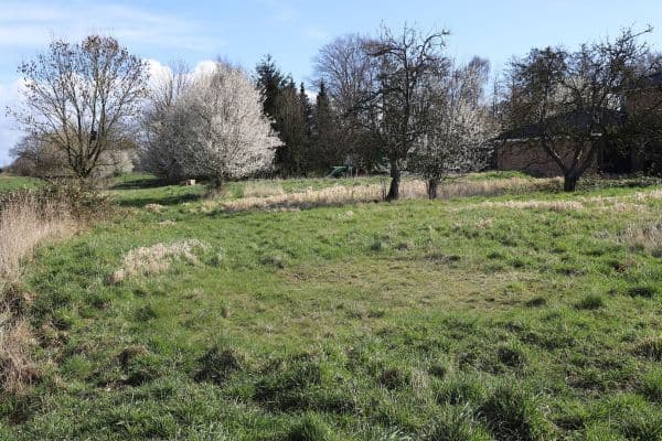 Predaj pozemku 1.017 m², Zur Rönnwettern 35, Seester Predaj pozemku 1.017 m², Zur Rönnwettern 35, Seester