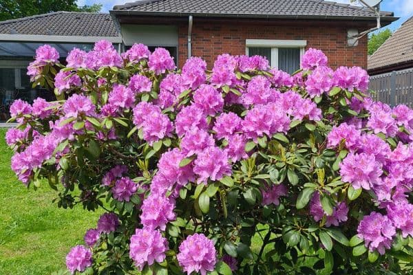 Predaj domu 102 m², pozemek 830 m², Hemmingstedt Predaj domu 102 m², pozemek 830 m², Hemmingstedt