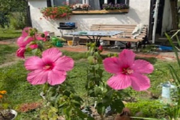 Predaj rekreačného objektu 16 m², pozemek 313 m², Na Rybářce, Praha Predaj rekreačného objektu 16 m², pozemek 313 m², Na Rybářce, Praha