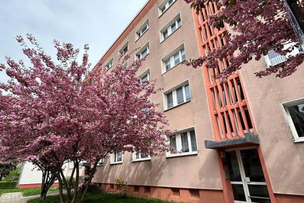 Prenájom bytu 1-izbový 25 m², Linzer Straße 43, Dessau-Roßlau, Sasko-Anhaltsko Prenájom bytu 1-izbový 25 m², Linzer Straße 43, Dessau-Roßlau, Sasko-Anhaltsko