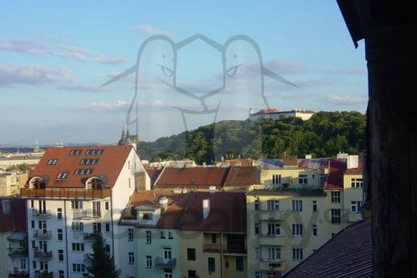 Prenájom bytu 3-izbový 127 m², Čápkova, Brno Prenájom bytu 3-izbový 127 m², Čápkova, Brno