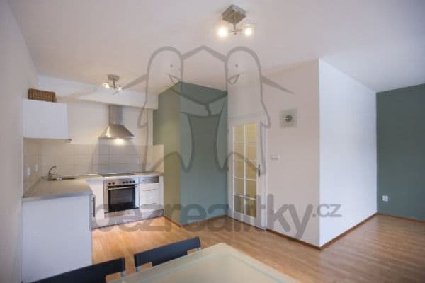 Prenájom bytu 1-izbový 35 m², Plzeňská, Praha Prenájom bytu 1-izbový 35 m², Plzeňská, Praha